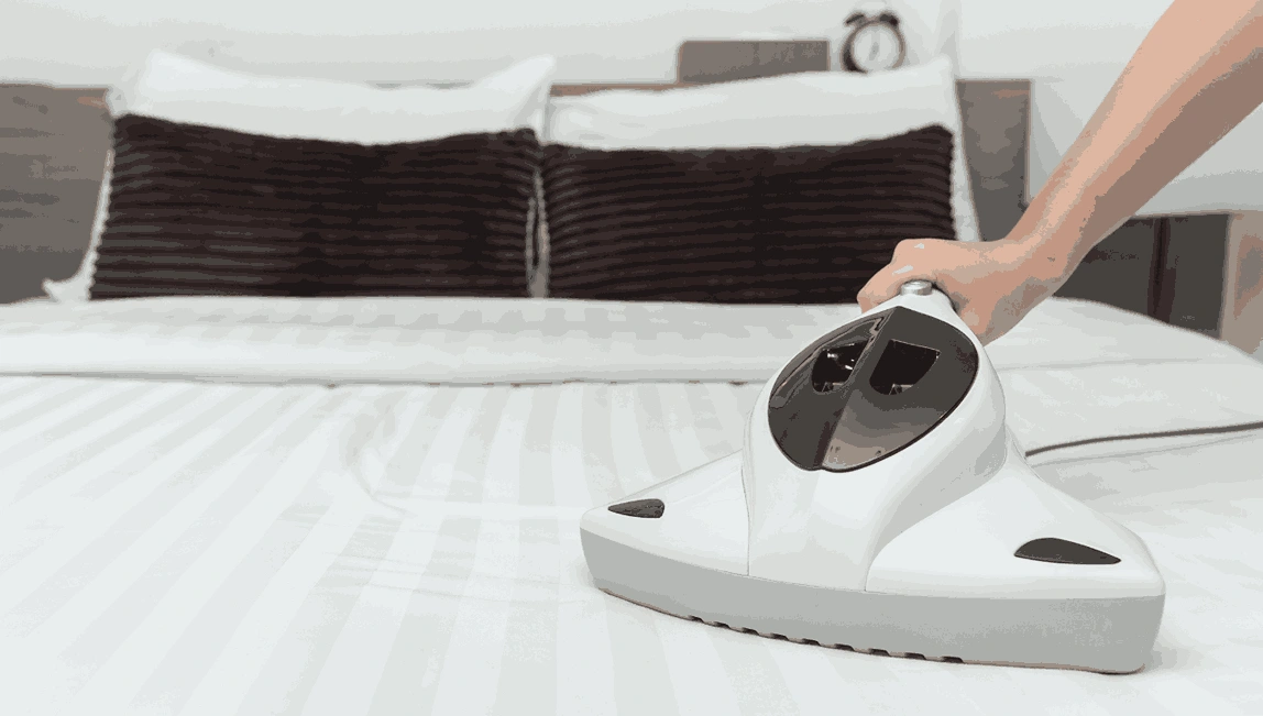 Professional Mattress Cleaning Bellarine